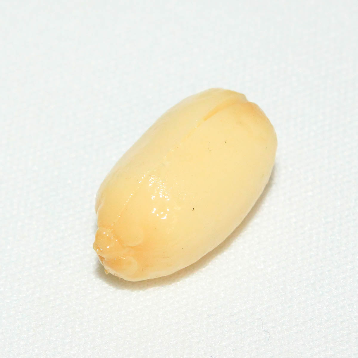 ピーナッツ パーツ ピーナッツ パーツ 食品サンプル おもしろ雑貨 食品モチーフ プレゼント ギフト 誕生日 送り物 インテリア