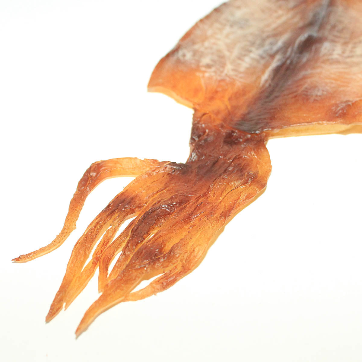 スルメイカキーホルダー