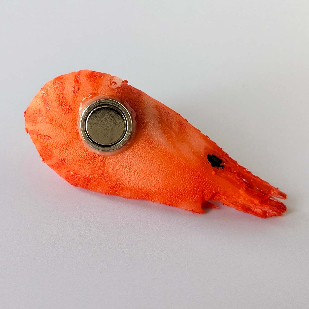 ボイルエビSマグネット