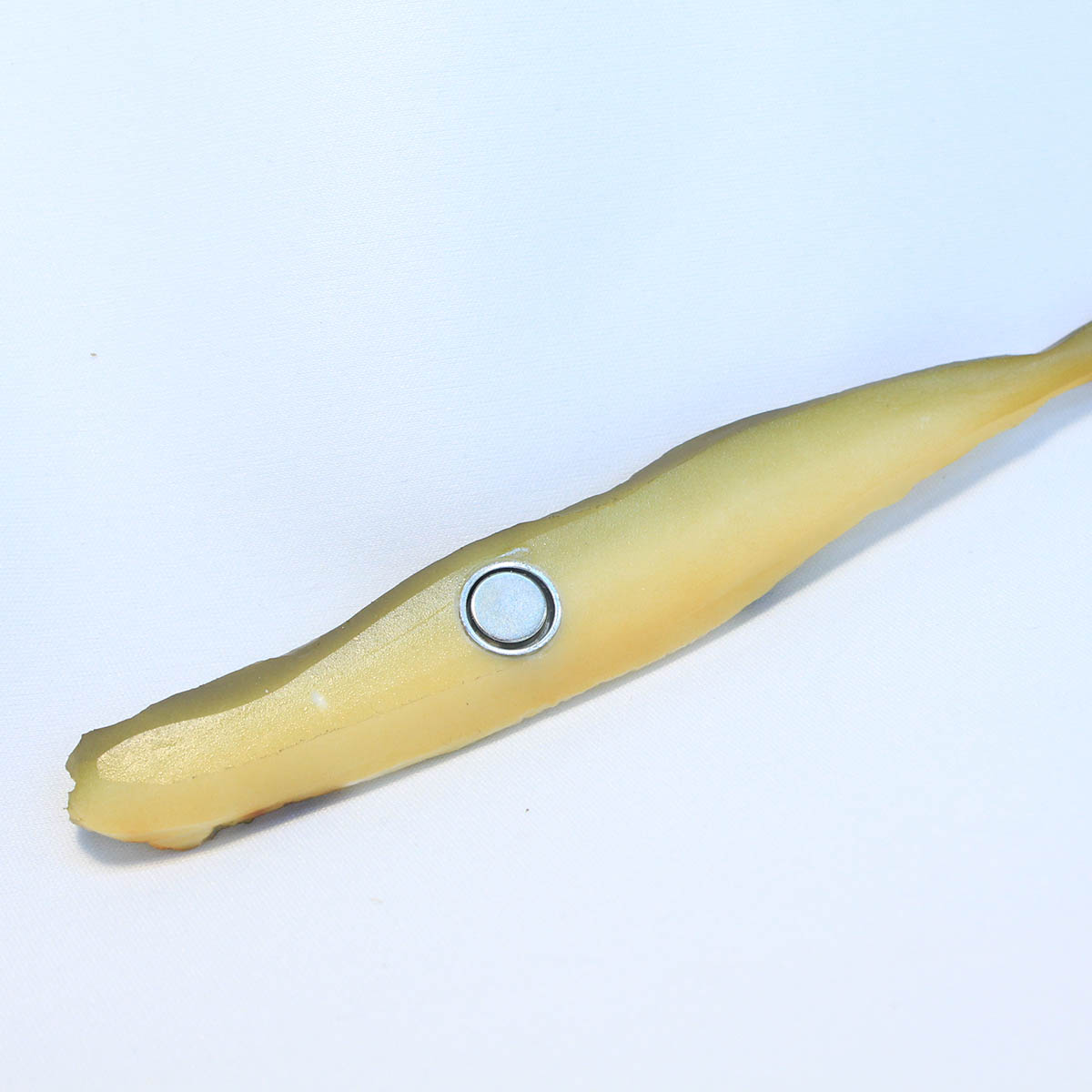 ししゃもマグネット